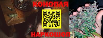 apvp Лесосибирск
