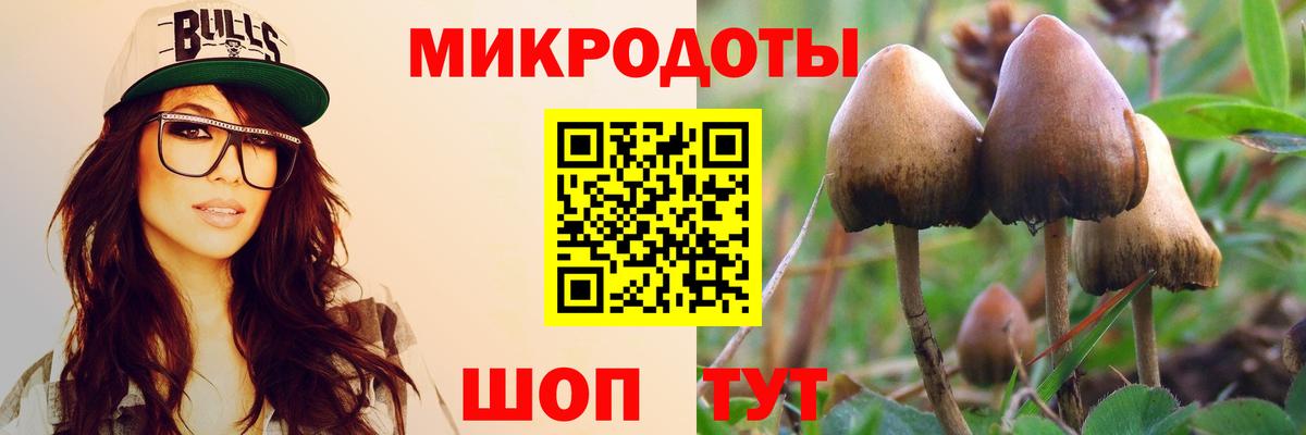 Грозный  Псилоцибиновые грибы мухоморы  Вход с VPN 