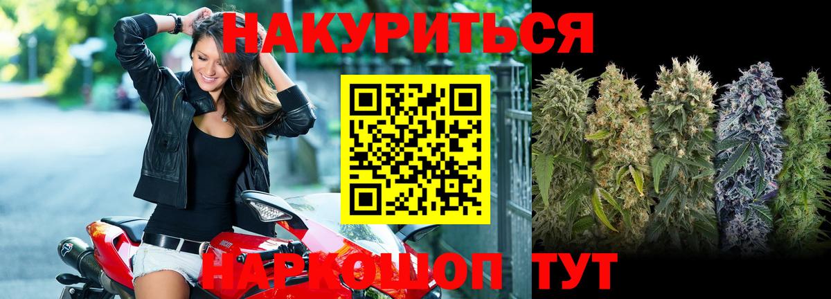 Шишки марихуана Amnesia  Марихуана MAZAR  Вход с VPN  Бошки марихуана семена  Грозный 